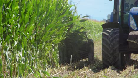 una cosechadora cosecha maíz en un campo que envía el maíz a un remolque de tractor cercano en una mañana soleada