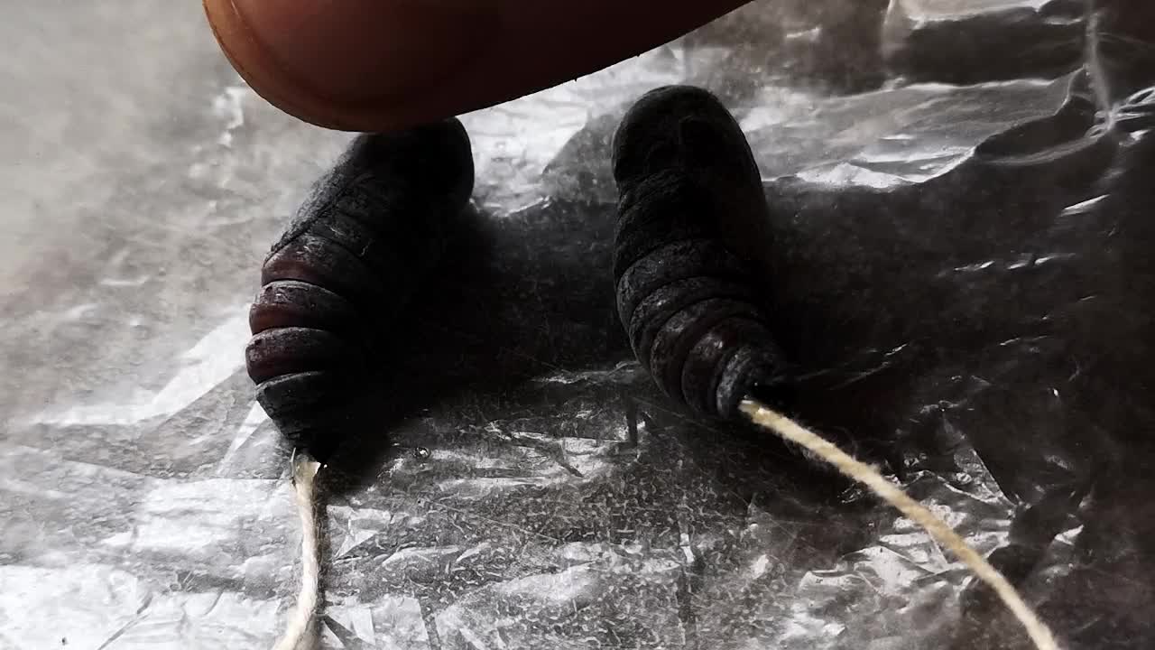 나방 번데기를 만지는 손가락 섬세한 애벌레 부착 이동