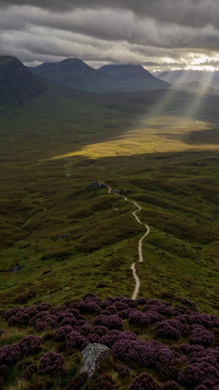 Aerial view of a winding path through a vast green valley under dramatic clouds with sun rays