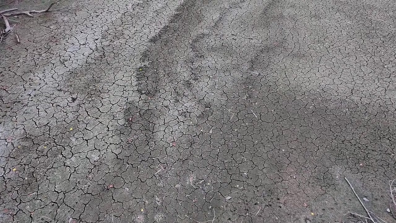 Una fluida spinta in avanti della telecamera si muove bassa su una superficie di terreno secco e screpolato con radici e ramoscelli secchi sparsi, catturando motivi di terra arida su un letto di lago ad Alsómocsolád, Ungheria, Europa