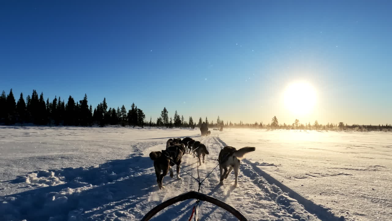 Hundeslede krysser en frossen elv mens huskyteam følger andre sleder mot en skog under strålende sol og blå himmel.