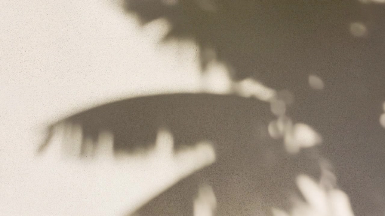 Blurred palm leaf shadows fall across a warm beige wall, forming a calm abstract pattern with gentle daylight, soft contrast, and a minimal indoor backdrop