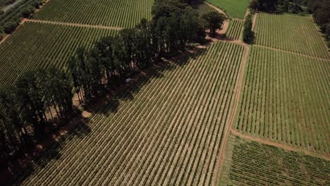 Aerial-View-Of-Car-Driving-In-A-Country-Road-Passing-Wine-Farms-In-Constantia,-Cape-Town,-South-Africa