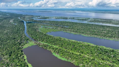 río amazonas en la selva amazónica