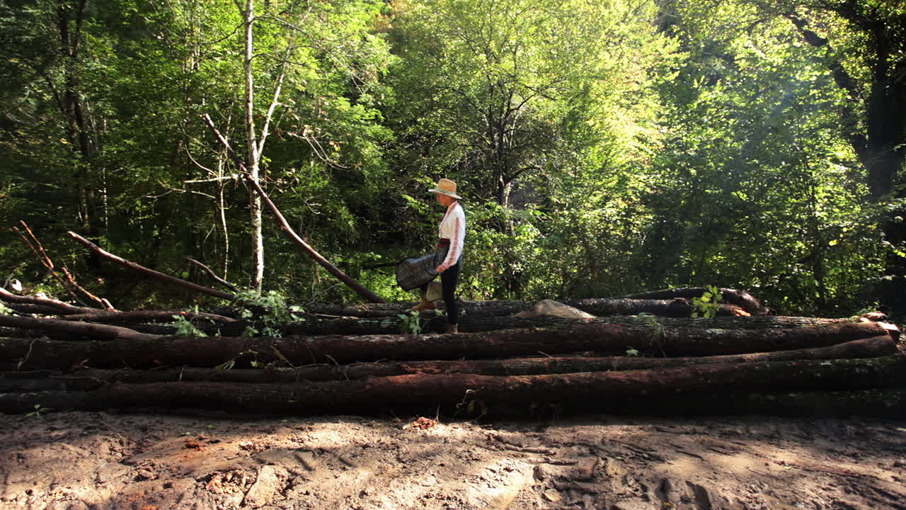 잘려진 나무 사이를 걷는 루마니아 소녀 5