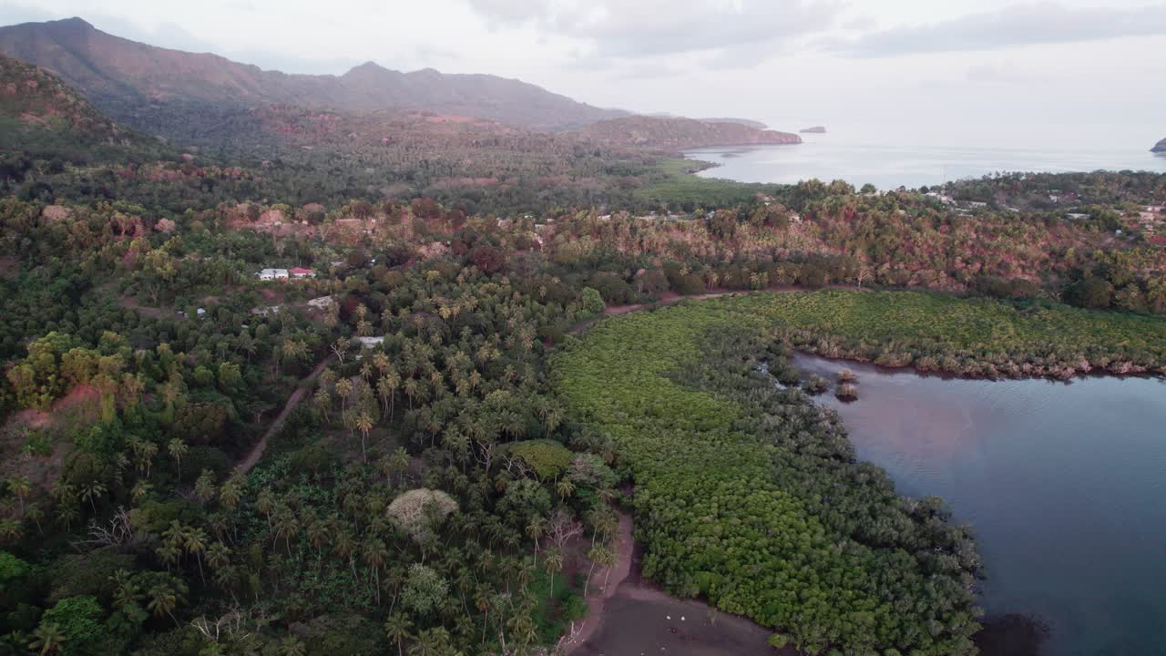 vista aérea de manglares desde cerca de la vista general, natural