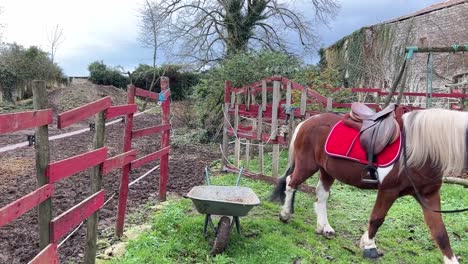 chica sacando a su poni del recinto