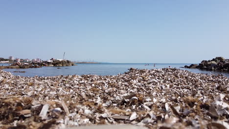 castiglioncello coast side near famous bagno salvadori