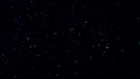 elegante, detallado y delicioso bokeh y partículas visuales con poca profundidad de campo bajo el agua