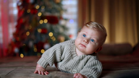 cute caucasian blond baby boy in warm sweater lies on the sofa. kid with blue eyes looks around with interest. blurred christmas tree at backdrop.