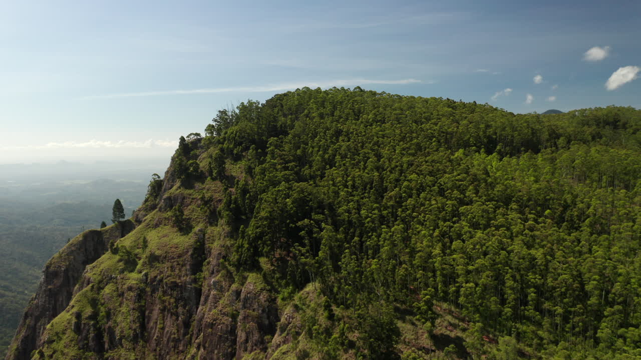 Lush Green Forest and Mountain Landscape