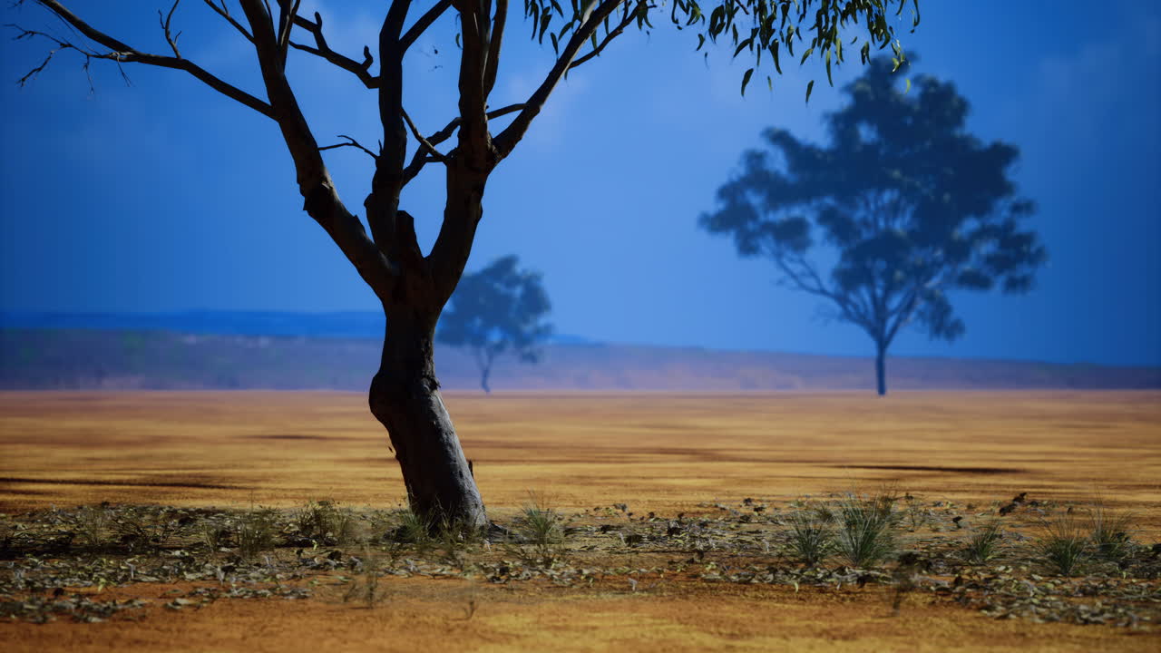 Majestic trees stand tall in the vast expanse of a serene landscape at dusk