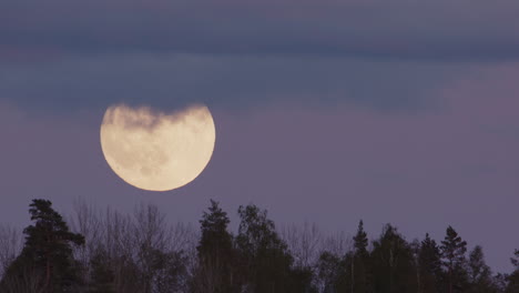 full moon, twilight - the moon rising into a blanket of cloud above