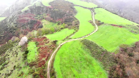 aerial of lush green mountain top with dirt path and hikers in the distance