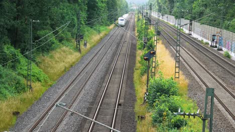 a train approaches quickly down the railroad line with bright trees and thick bushes surrounding it