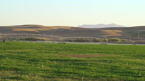 producción agrícola, riego de los cultivos.