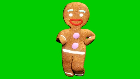 the gingerbread man is dancing a christmas dance. the concept of the celebration. looped animation in front of green screen.
