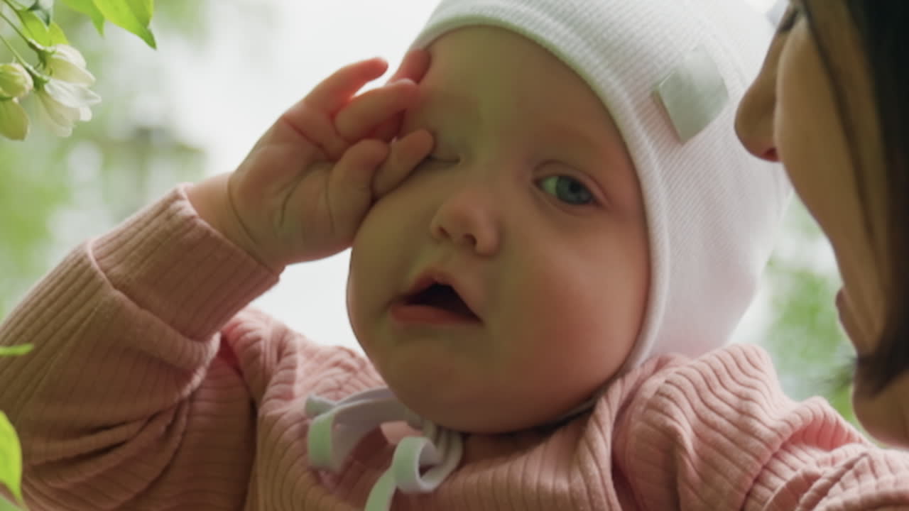 Child Naps Peacefully, Infant Rests Under Vibrant Leaves, Young Baby Sleeping Near Blossoming Tree Branch, Young Infant Is Resting Quietly Beside Flowering Branch With Adult Nearby For Comfort
