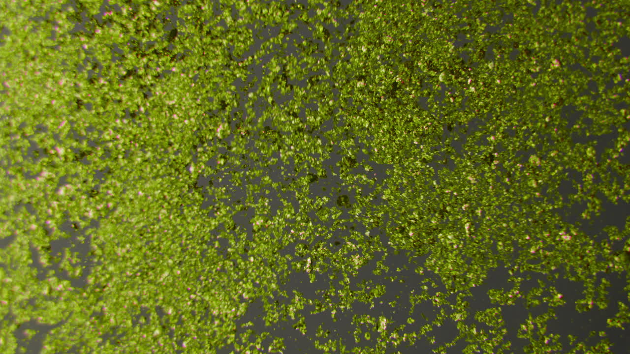 Abstract Green and Yellow Particles