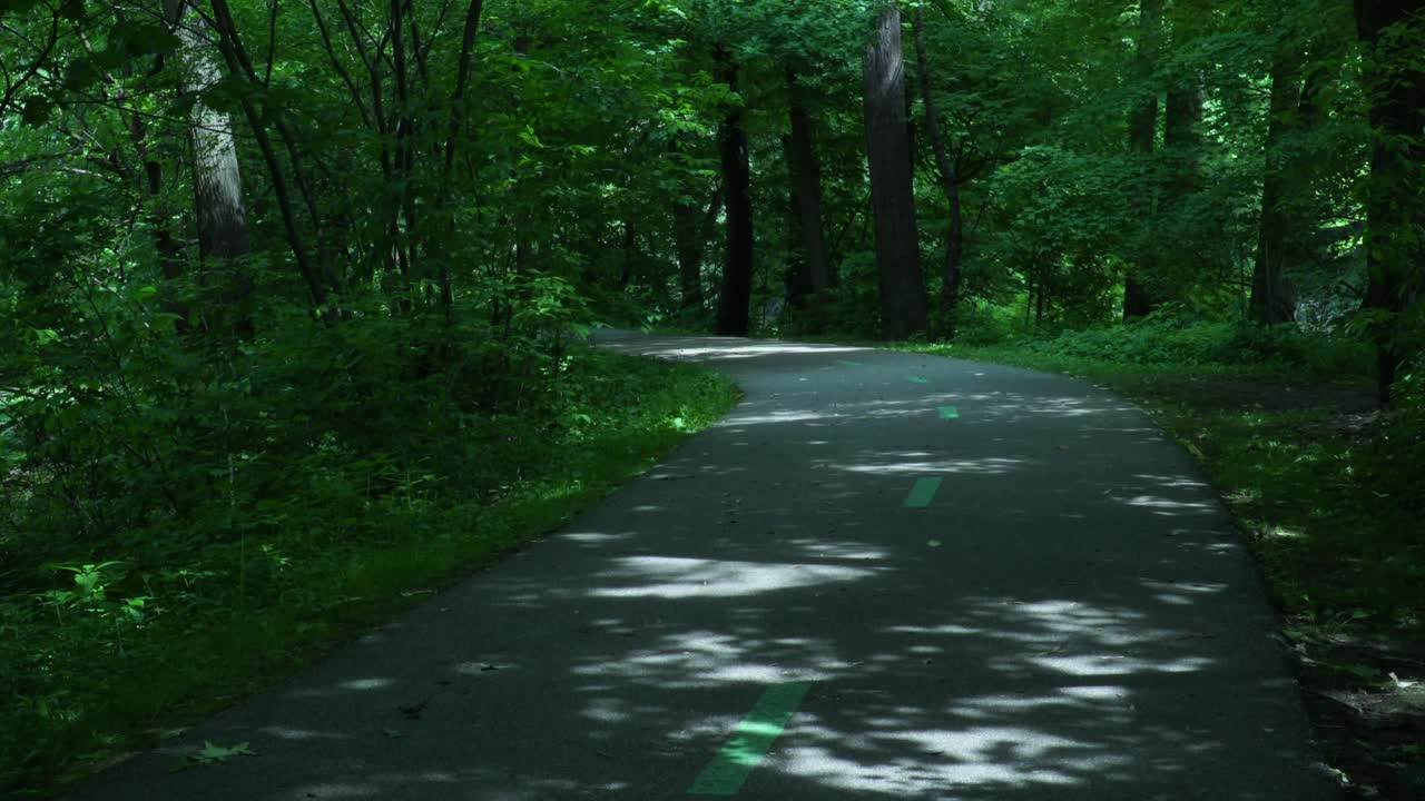 그늘에서 걷는 길