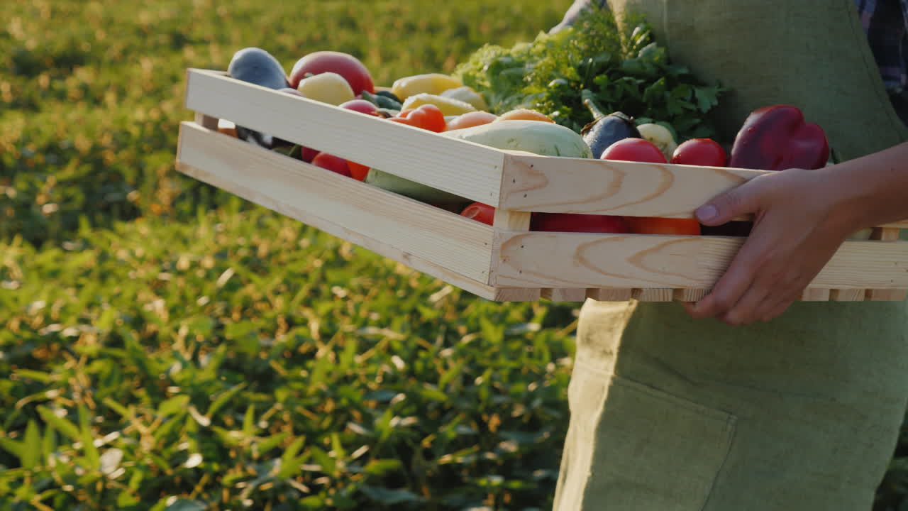 농부는 밭을 따라 채소와 채소가 담긴 상자를 나른다