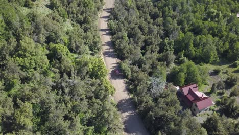 imágenes aéreas de arriba hacia abajo de la conducción de automóviles en la carretera a través de un bosque en patagonia, argentina