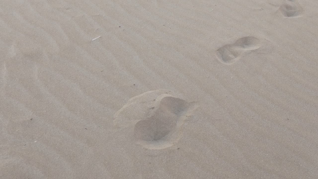 해변의 모래에 있는 발자국