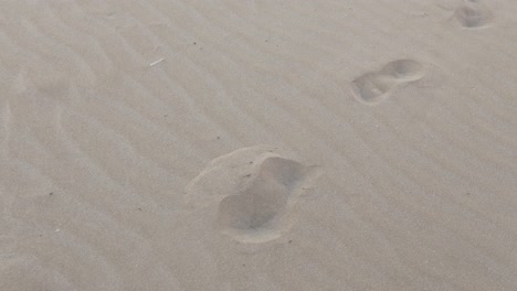 Fußabdruck-Im-Sand-Am-Strand