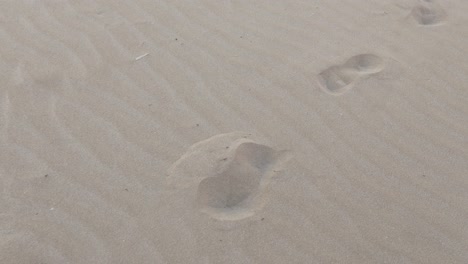 footprint on sand at beach