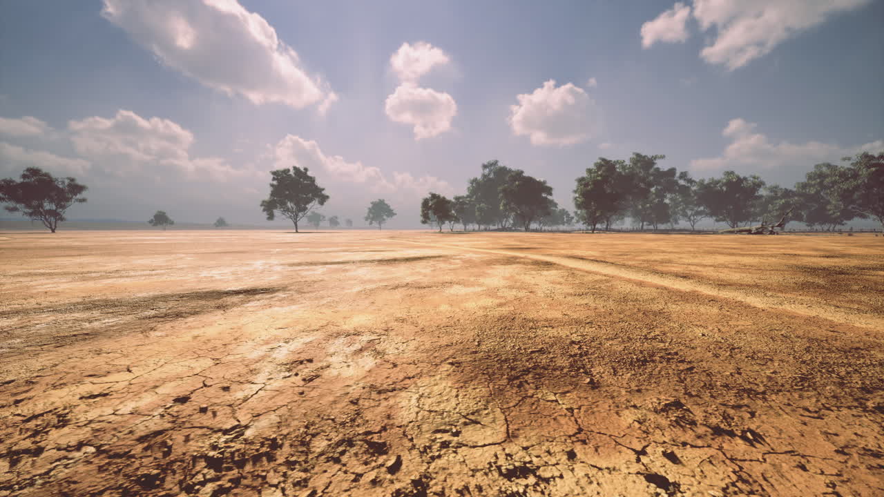 Desolate landscape with cracked earth and scattered trees under a vast sky
