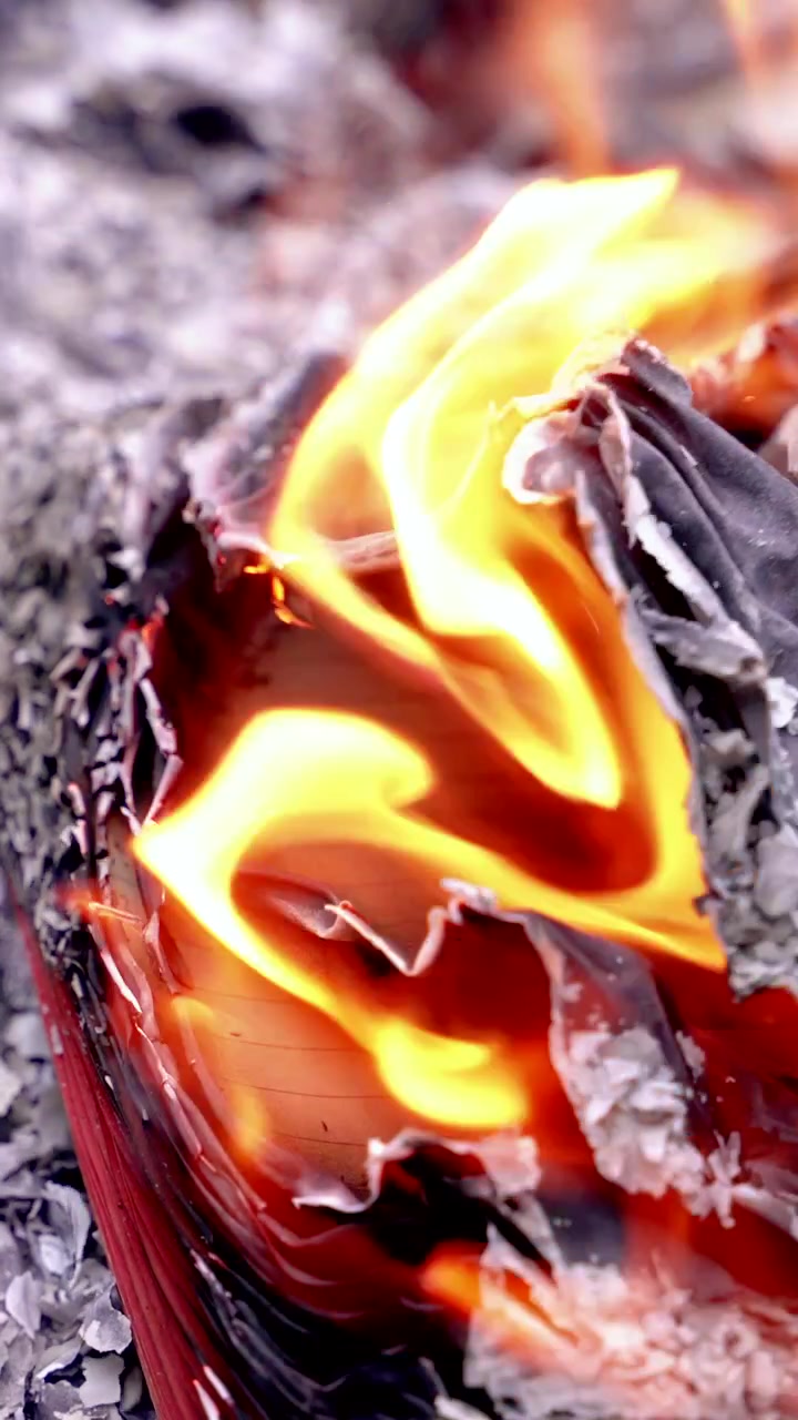 Pagine di libro che bruciano con fiamma. Vista ravvicinata di carta carbonizzata, braci ardenti, bagliore arancione brillante e fumo scuro. Video verticale