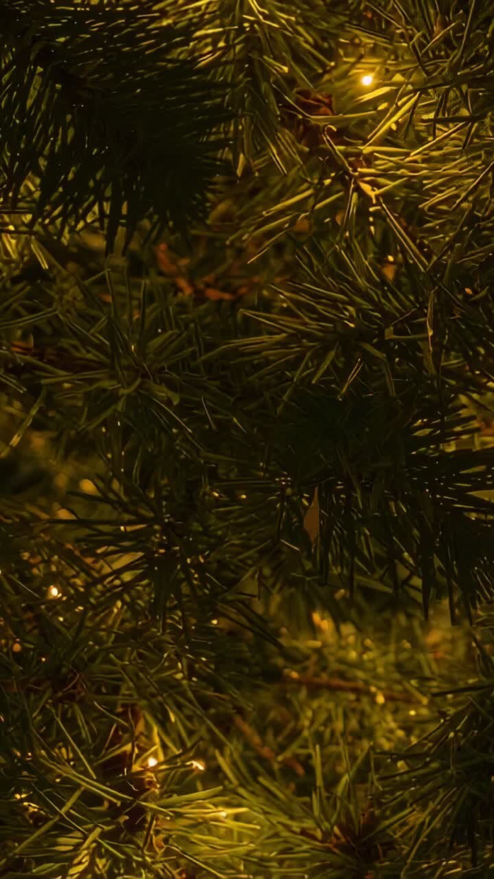 Vertical video: Moving camera revealing pine needles and warm LED lights at night, making cozy glow