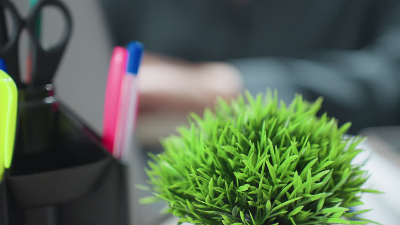 Bright close up of green desk plant beside pens cup as blurred hands of person type on laptop keyboard, conveying modern eco friendly office vibe, focus on fresh foliage