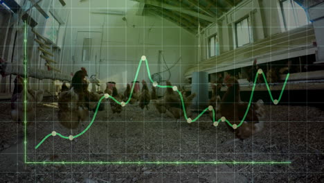 animating green line graph over chickens in poultry farm