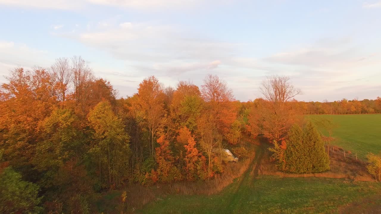 농지 위를 낮게 날고 있는 드론이 나무 꼭대기 위로 올라와 단풍을 드러냅니다.