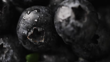 micro vídeo de primer plano de los arándanos con espacio de copia