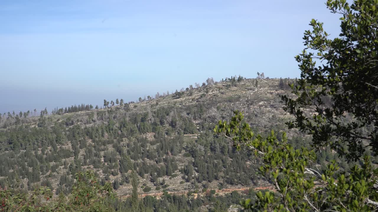 montaña de israel con paisaje de árboles