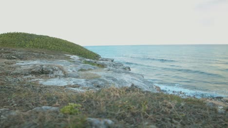 static shot of continuous tides and waves from ocean approaching the shore with green field during daytime