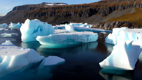 icebergs in arctic bay