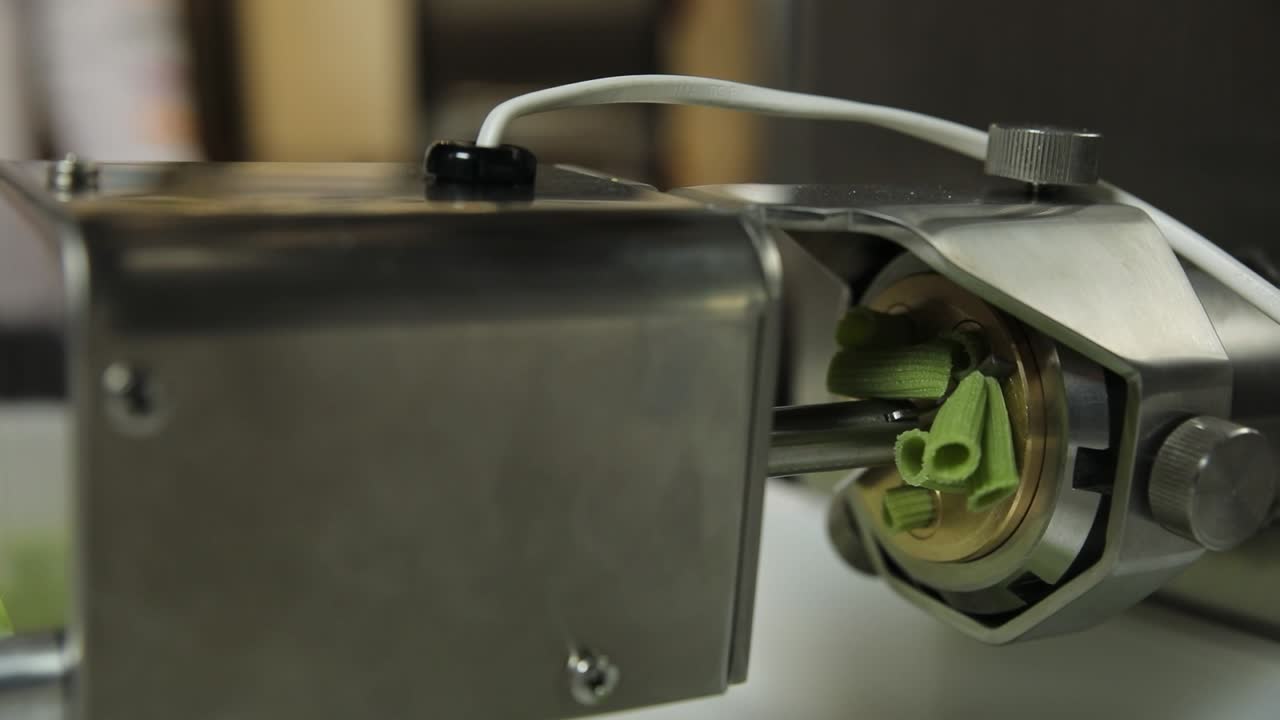 máquina de extrusión de pasta