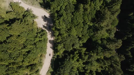 Aerial-top-down-dolly-in-of-a-group-of-jeeps-driving-on-a-dusty-zig-zag-road-between-dense-green-pine-forest-at-daytime,-British-Columbia,-Canada