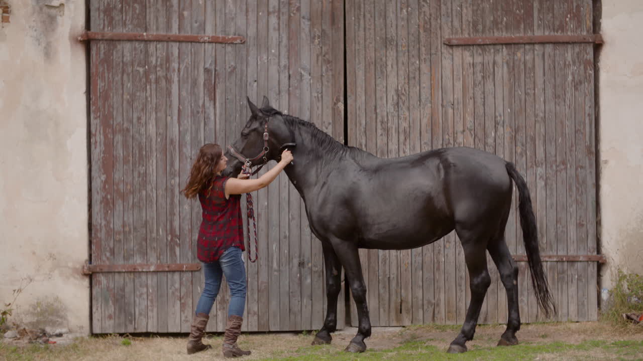 A woman with a black horse in front of a barn