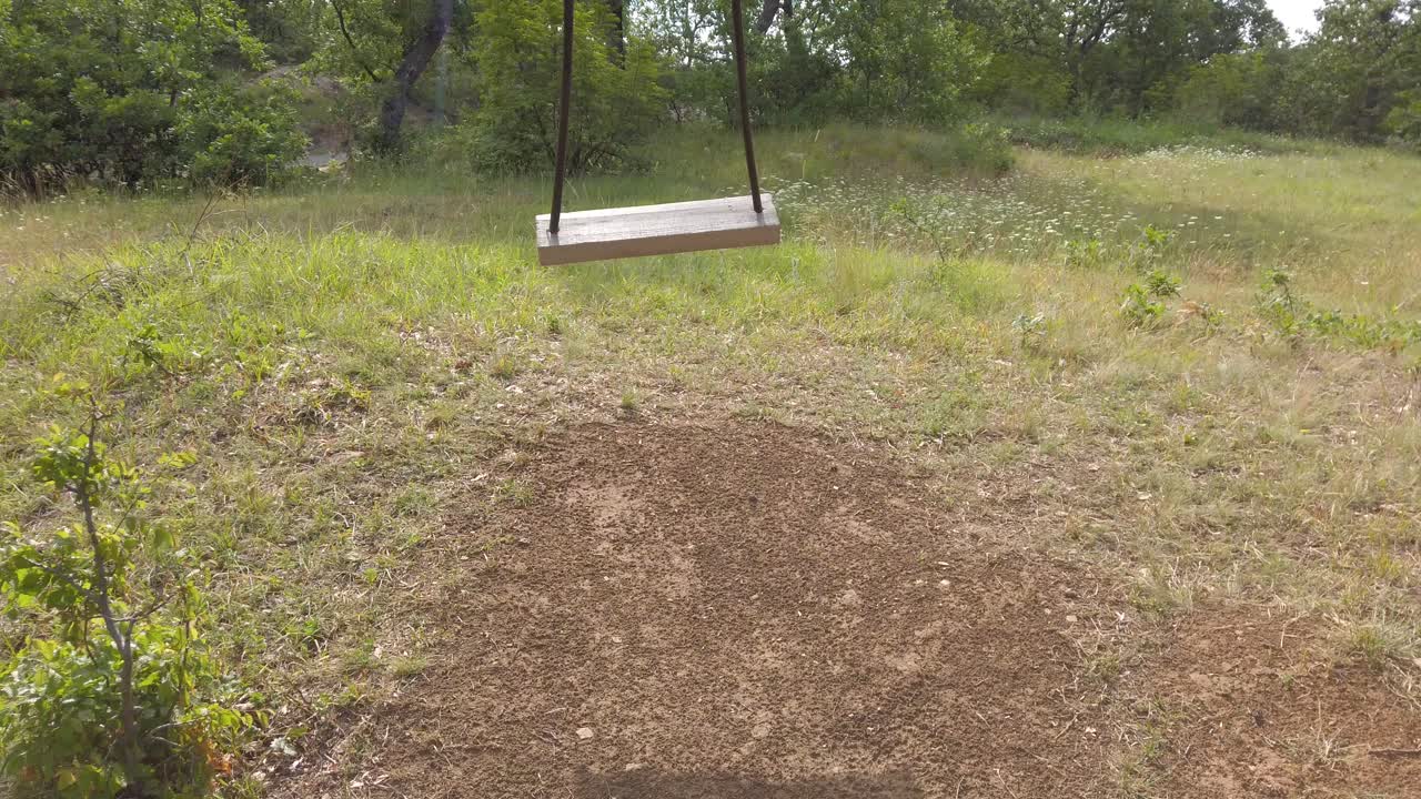 Empty wooden swing, swings among green trees and plants in forest. Summer spring day around nature