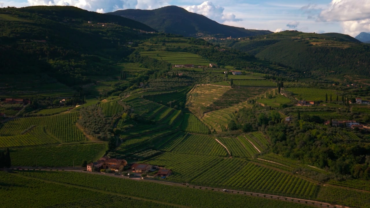 Dolci colline verdi della Valpolicella con lussureggianti terrazzamenti vitivinicoli verdi vicino alla storica città di Verona, Veneto
