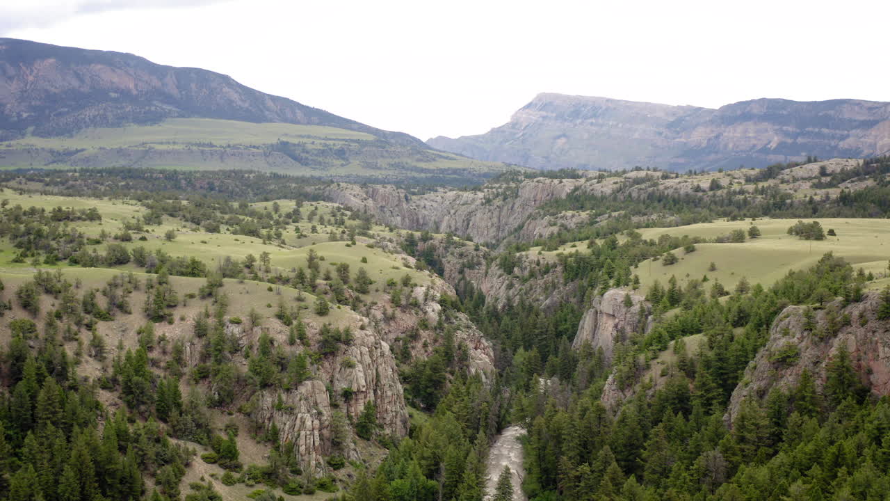 Scenic View of a Deep River Canyon with Lush Forests and Distant Mountains