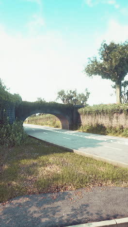 carretera rural con puente y árboles