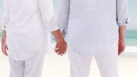 old retired couple embracing each other