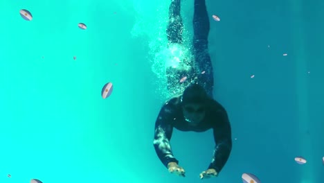 animación de bolas con japón sobre nadador nadando en la piscina