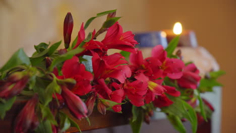 Red-flowers-blooming-with-soft-soothing-candle-light-against-stone-wall