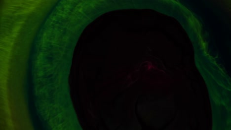 The-black-pupil-of-the-green-eyed-creature-suddenly-dilates,-revealing-blood-red-fire-within---an-all-natural-AbstractVideoClip